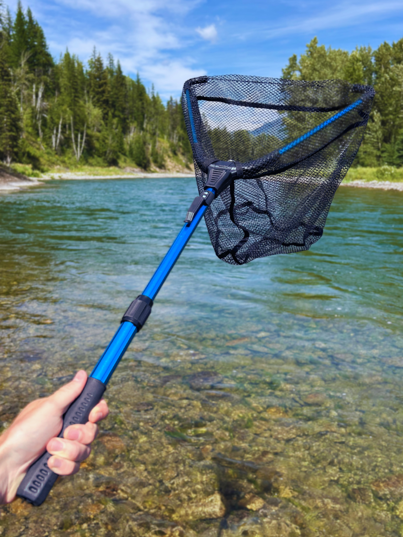 CarryNet